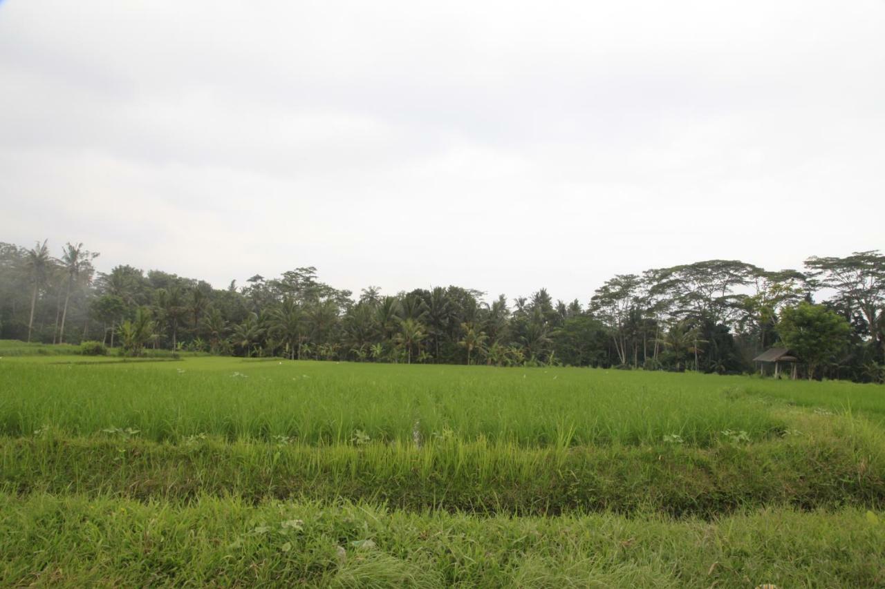 Pondok Gepokan Homestay Ubud Exterior foto
