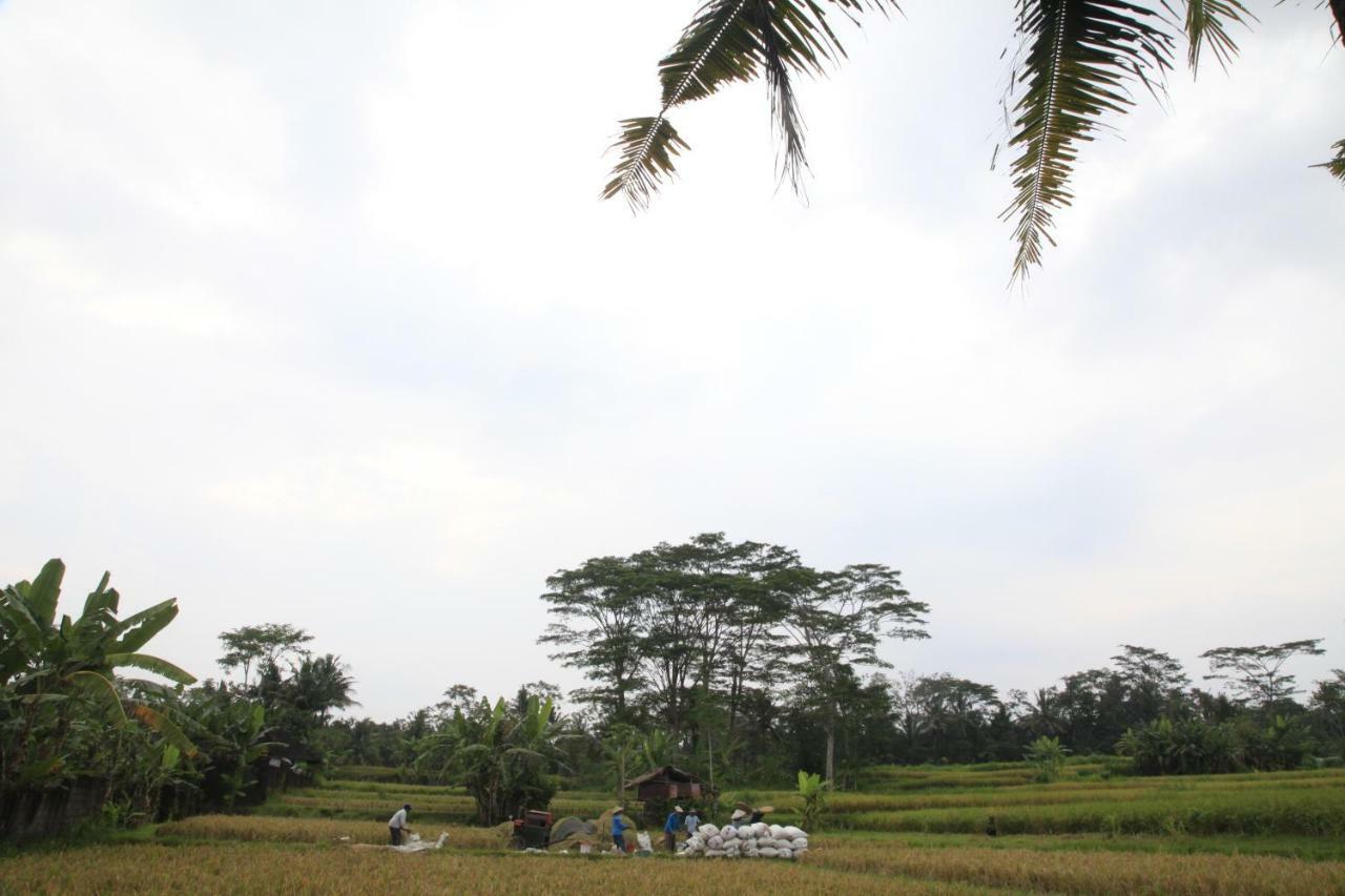 Pondok Gepokan Homestay Ubud Exterior foto